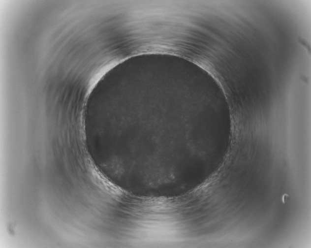 X0000100221120200806271721