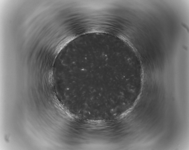 X0000100221121200806271721