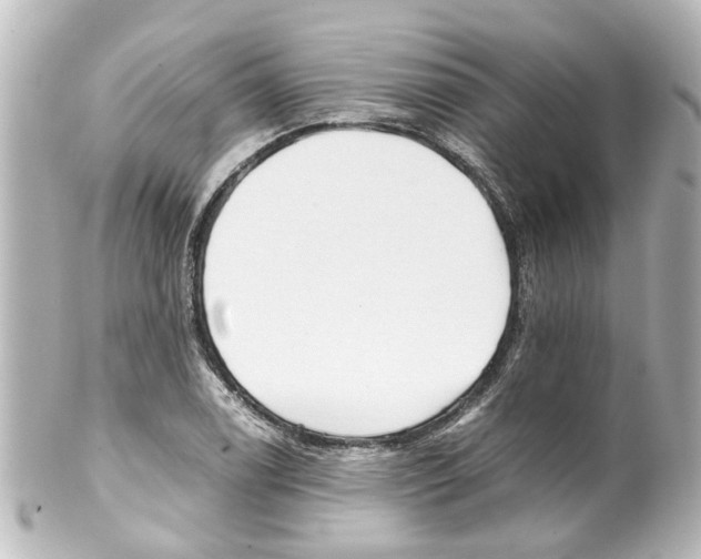 X0000100221122200806271721