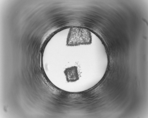 X0000100221123200806271721