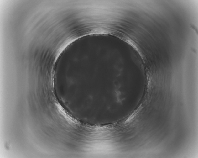 X0000100221124200806271721