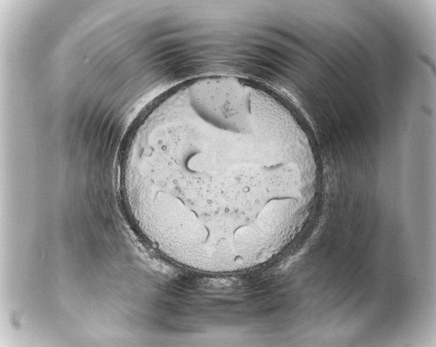 X0000100221125200806271721