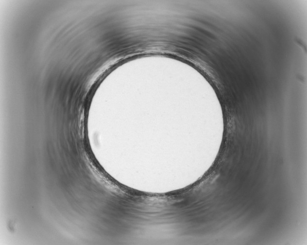 X0000100221126200806271721