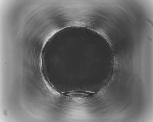 X0000100221128200806271721