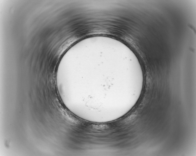 X0000100221129200806271721