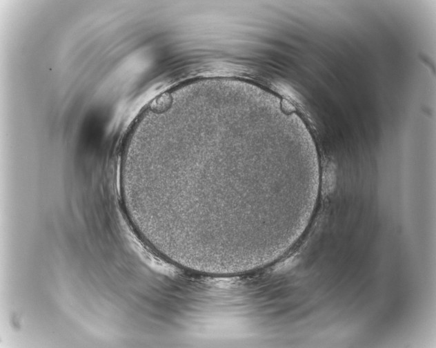 X0000100221130200806271721