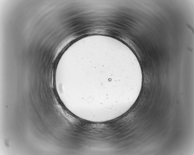 X0000100221131200806271721