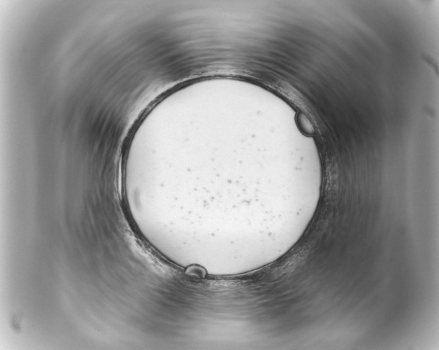 X0000100221132200806271721