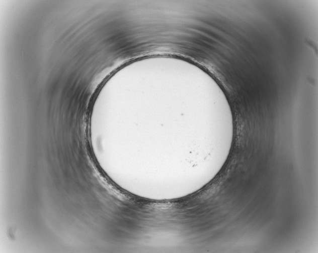 X0000100221134200806271721