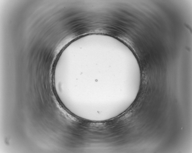 X0000100221135200806271721