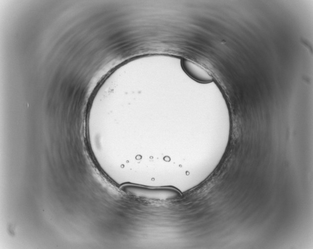 X0000100221136200806271721