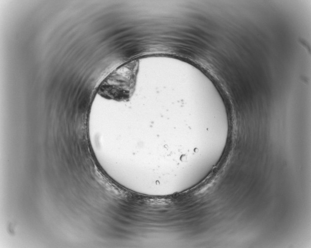 X0000100221137200806271721