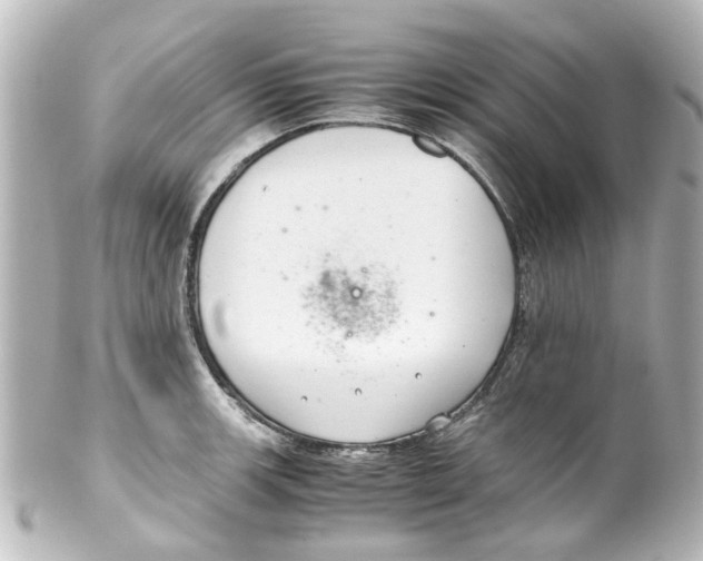 X0000100221139200806271721