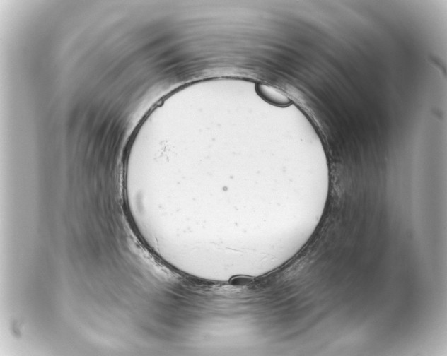 X0000100221140200806271721