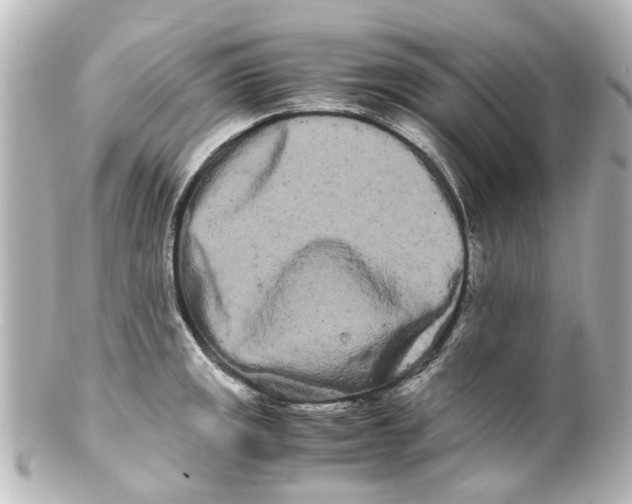 X0000100221141200806271721