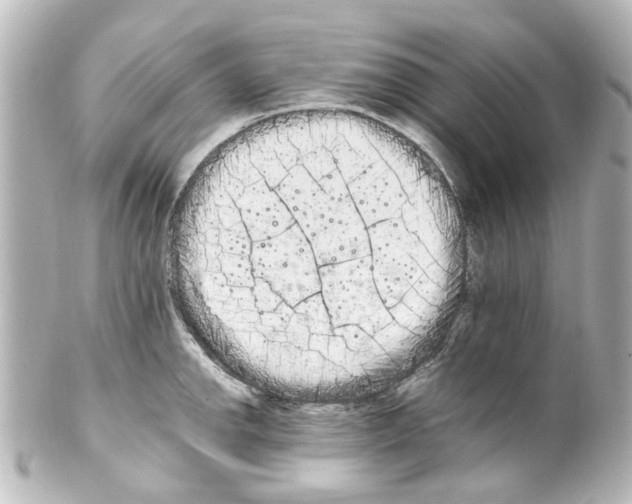 X0000100221142200806271721