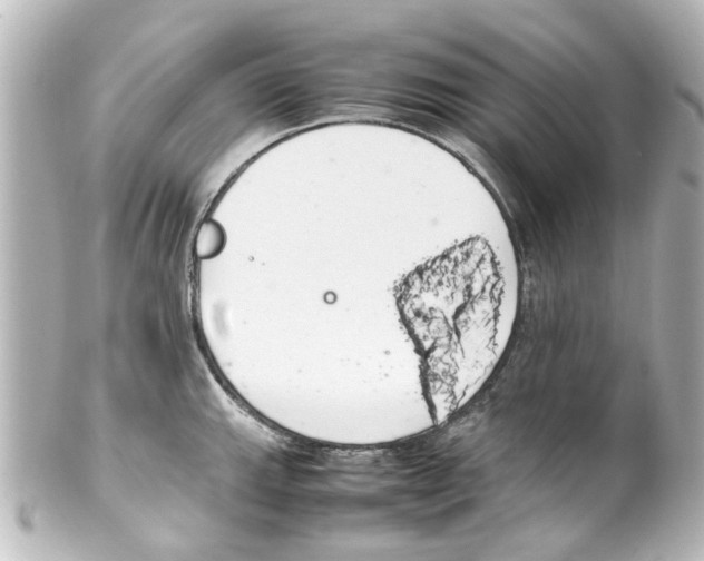 X0000100221143200806271721