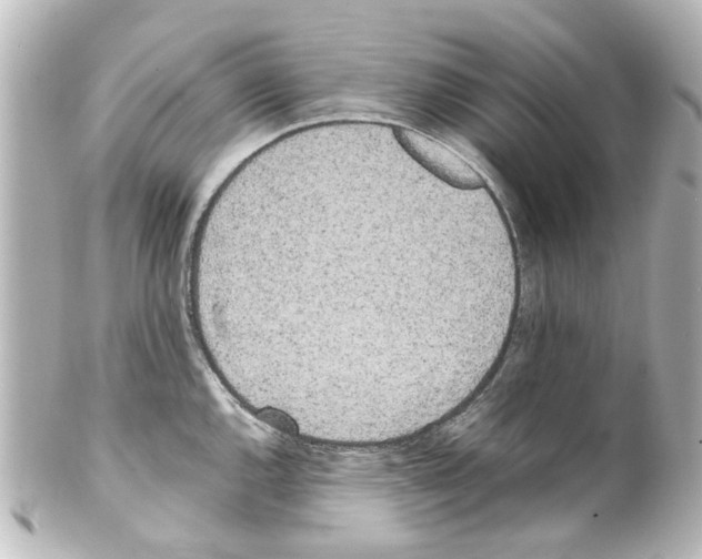 X0000100221144200806271721