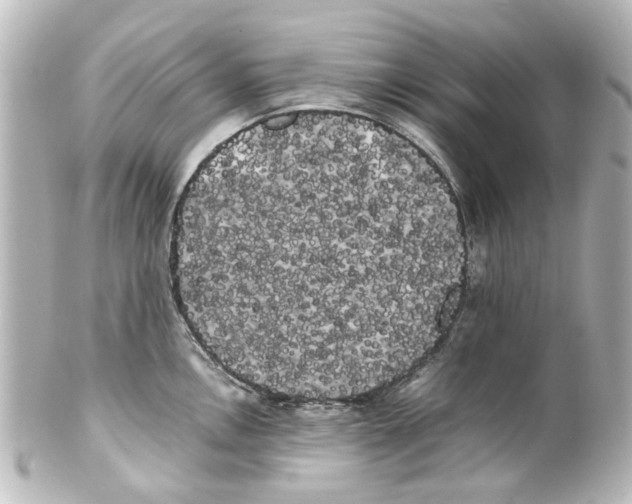 X0000100221146200806271721