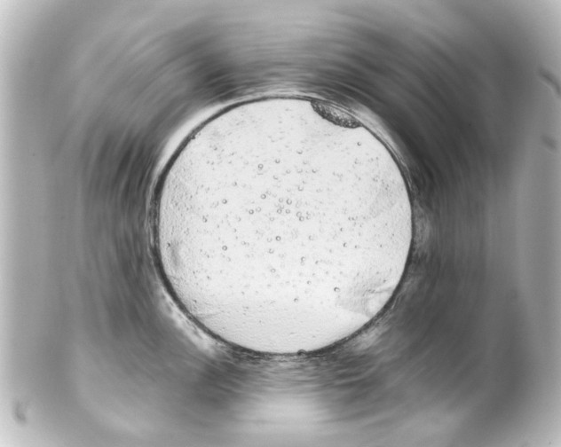 X0000100221148200806271721