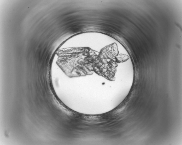 X0000100221149200806271721