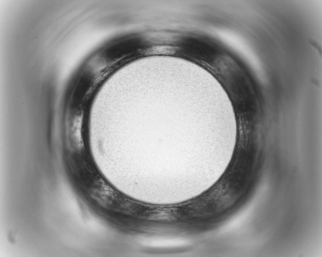 X0000100221150200806271721