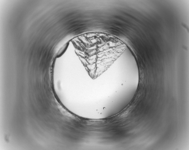 X0000100221151200806271721