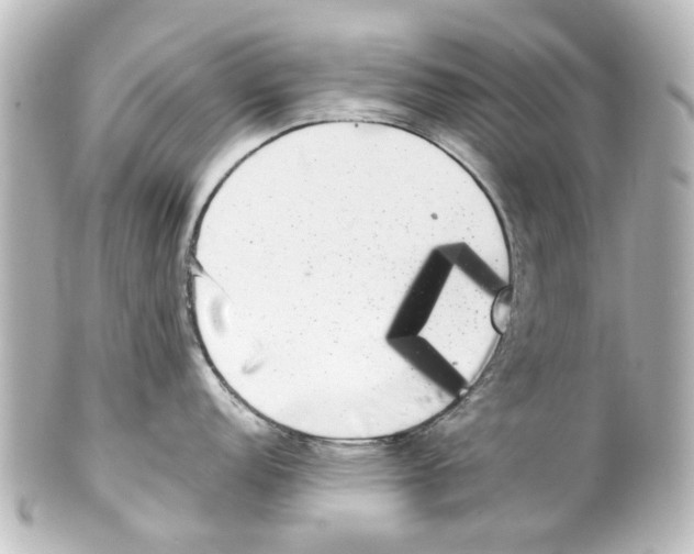 X0000100221152200806271721