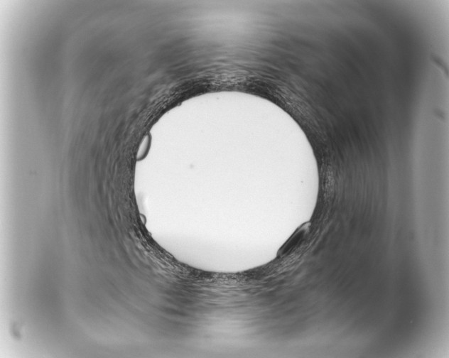 X0000100221153200806271720