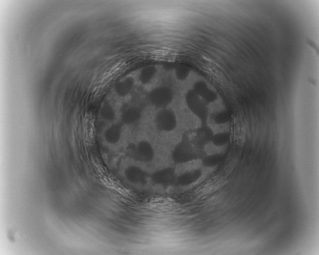 X0000100221154200806271720