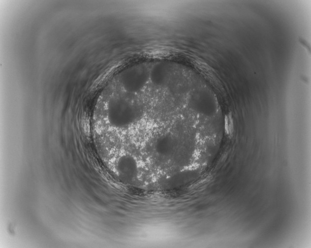 X0000100221155200806271720