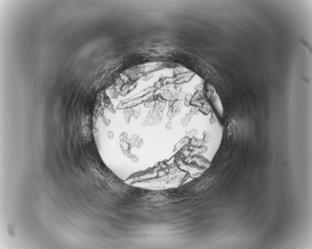 X0000100221156200806271720