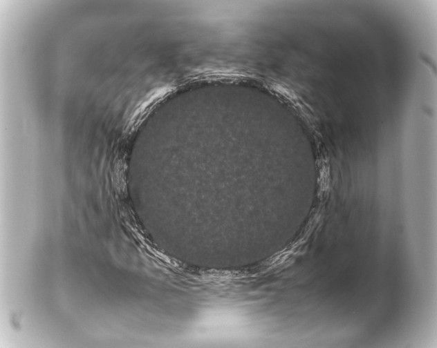 X0000100221157200806271720