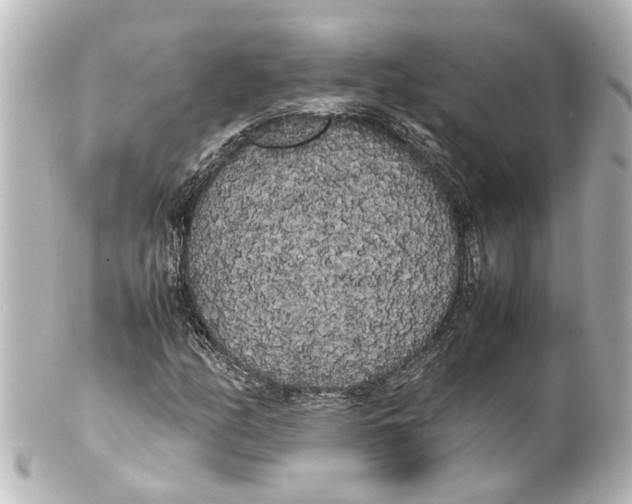 X0000100221158200806271720