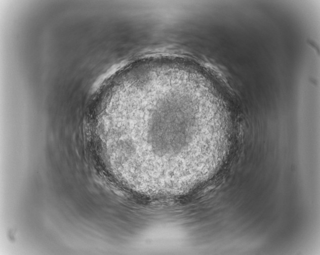 X0000100221159200806271720