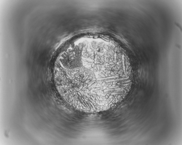 X0000100221160200806271720