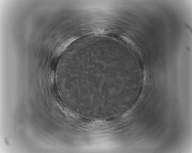 X0000100221161200806271720