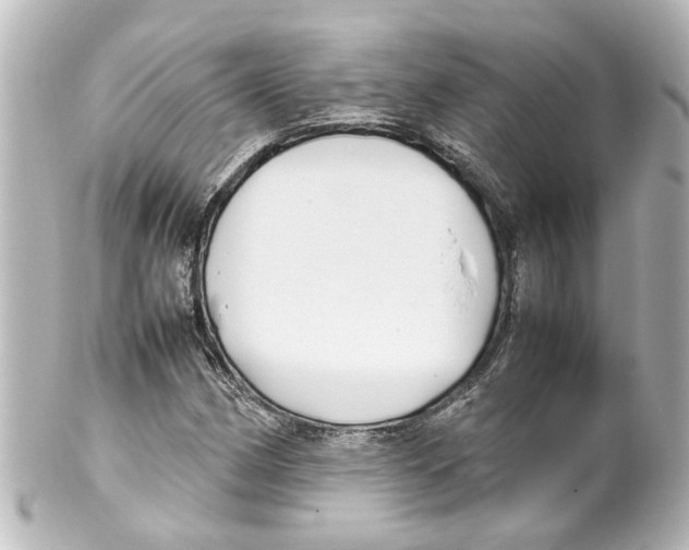 X0000100221162200806271720