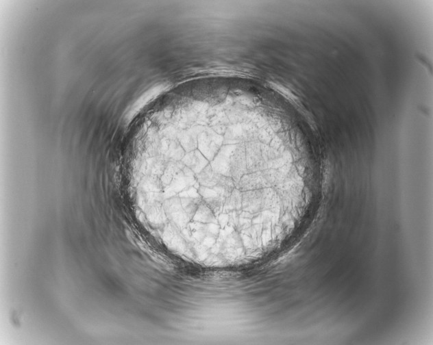 X0000100221163200806271720