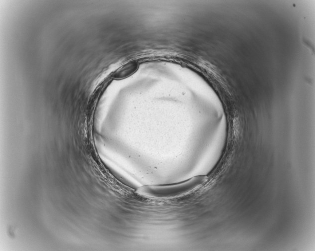 X0000100221165200806271720