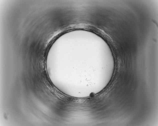 X0000100221166200806271720