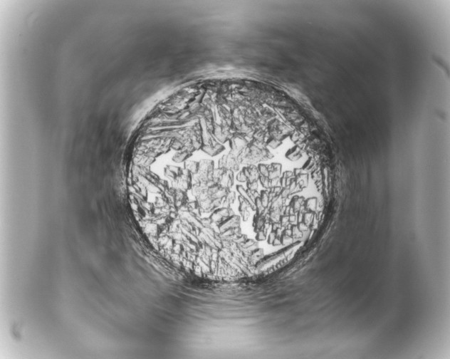 X0000100221167200806271720