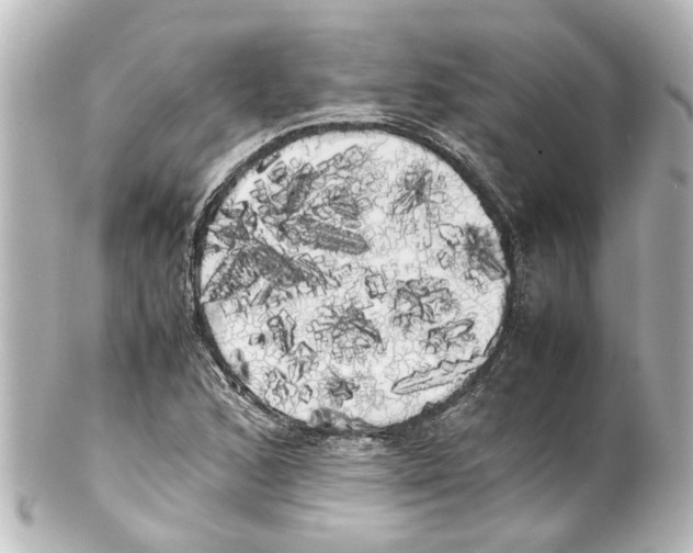 X0000100221168200806271720