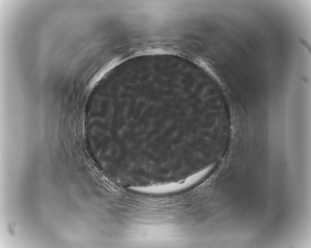 X0000100221173200806271720