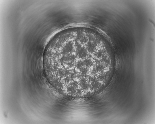 X0000100221174200806271720