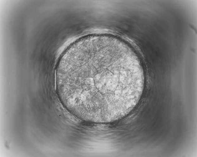 X0000100221175200806271720