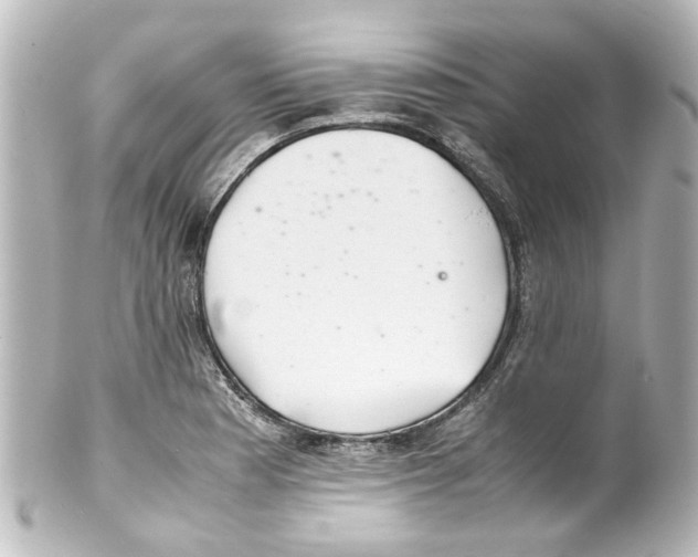 X0000100221177200806271720