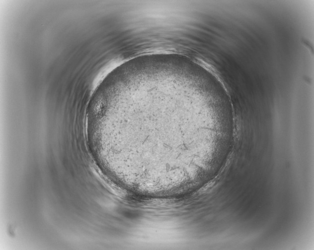 X0000100221179200806271720