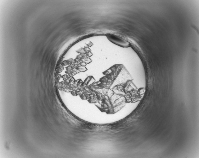 X0000100221183200806271720