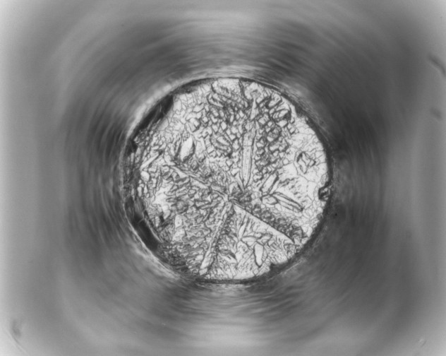 X0000100221184200806271720